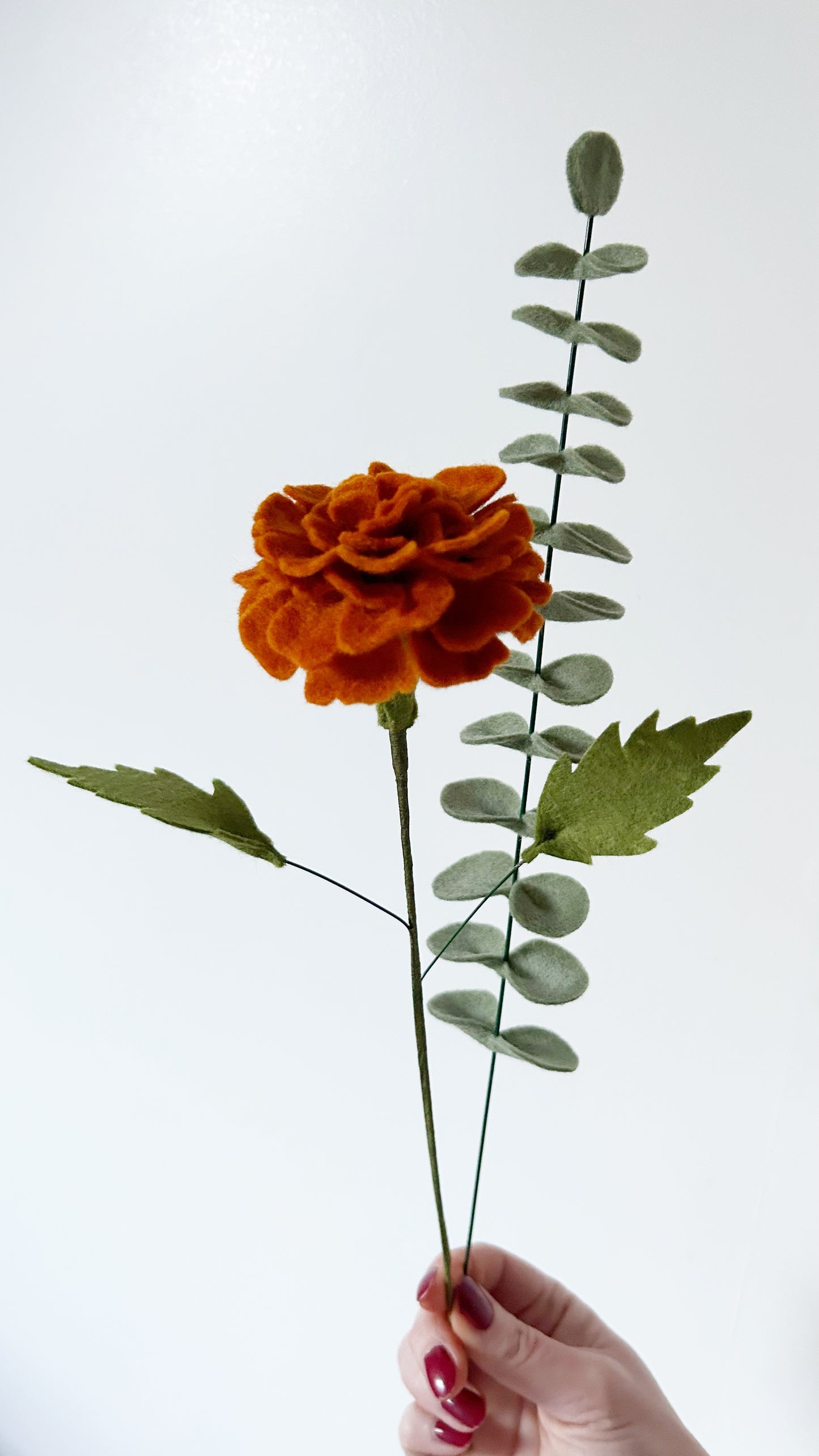 Losse Viltbloem - Goudsbloem