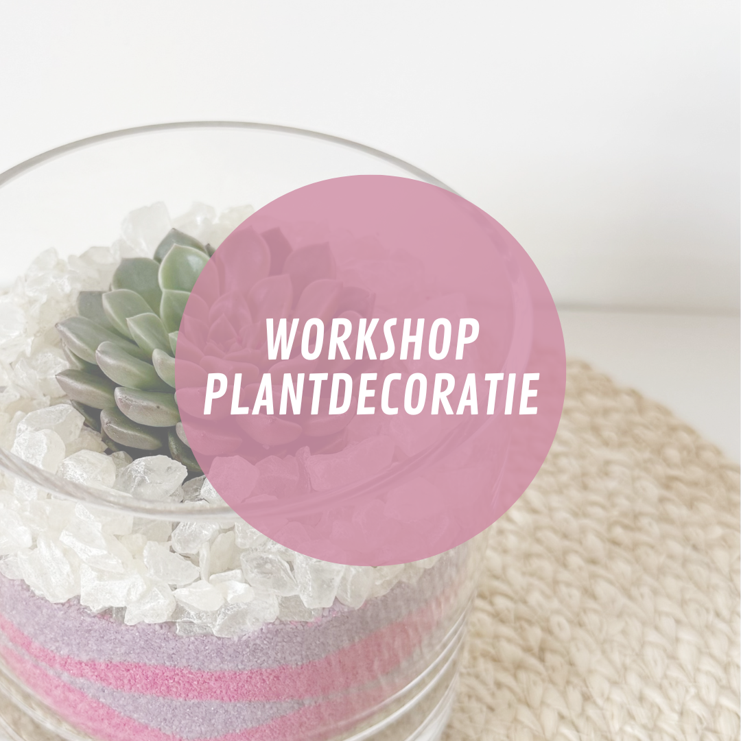 Workshop Plantdecoratie 24 april ‘25