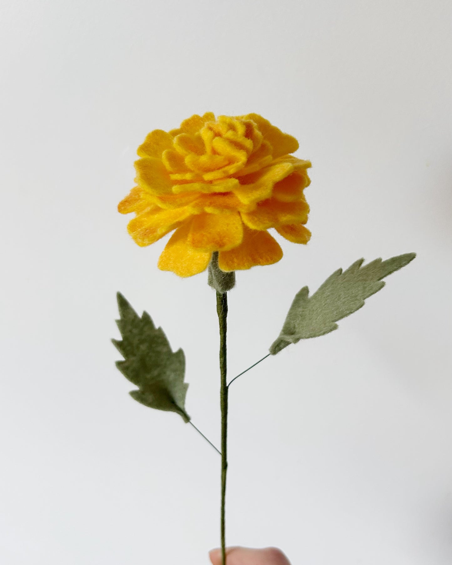 Losse Viltbloem - Goudsbloem