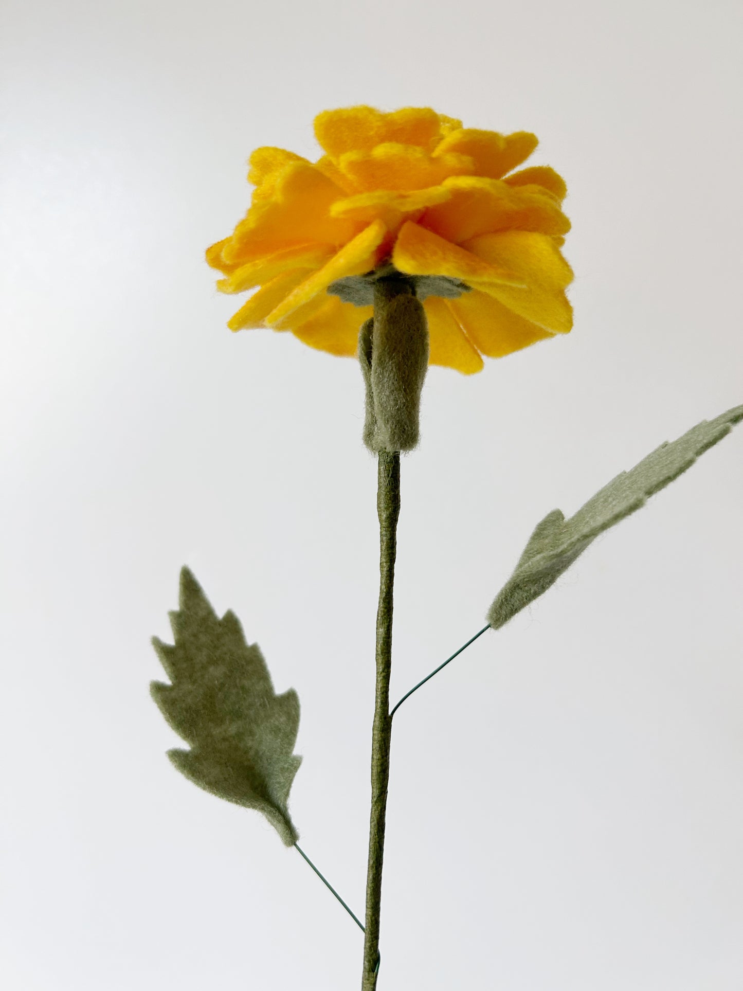 Losse Viltbloem - Goudsbloem