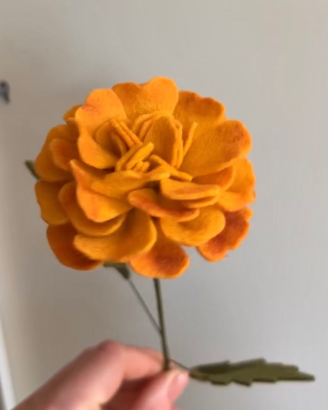 Losse Viltbloem - Goudsbloem