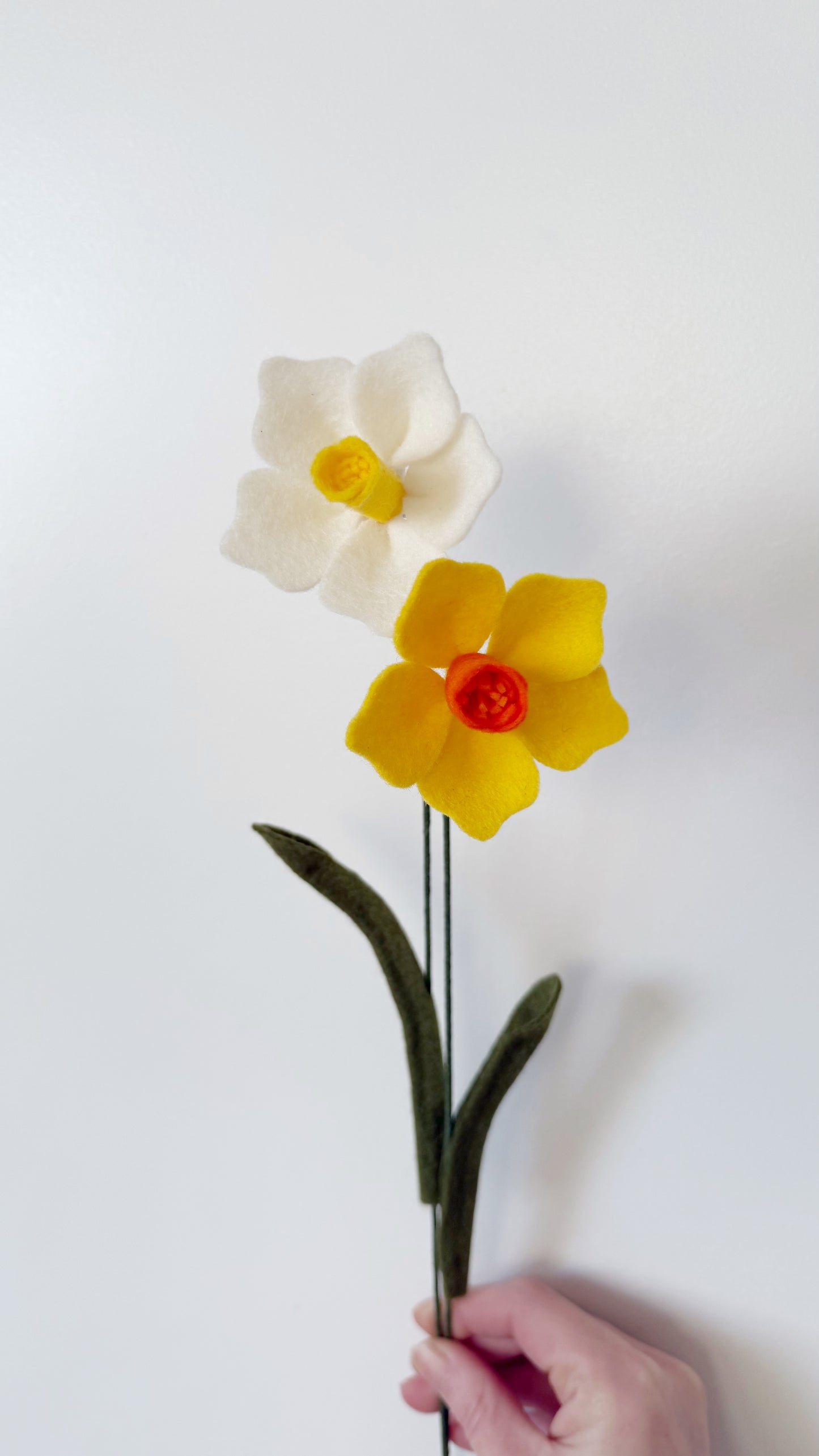 Losse viltbloem - Narcis