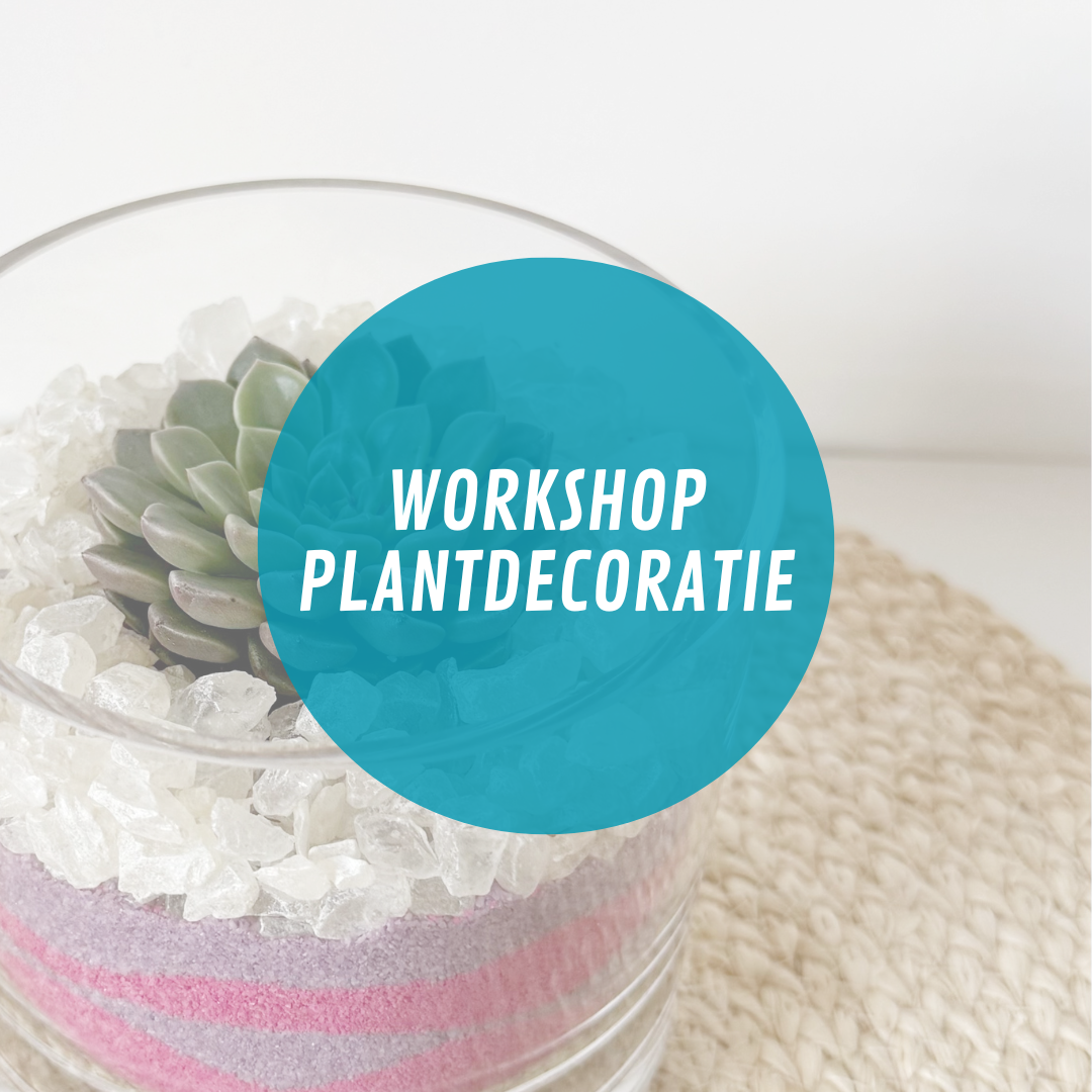 Workshop Plantdecoratie 29 april ‘25