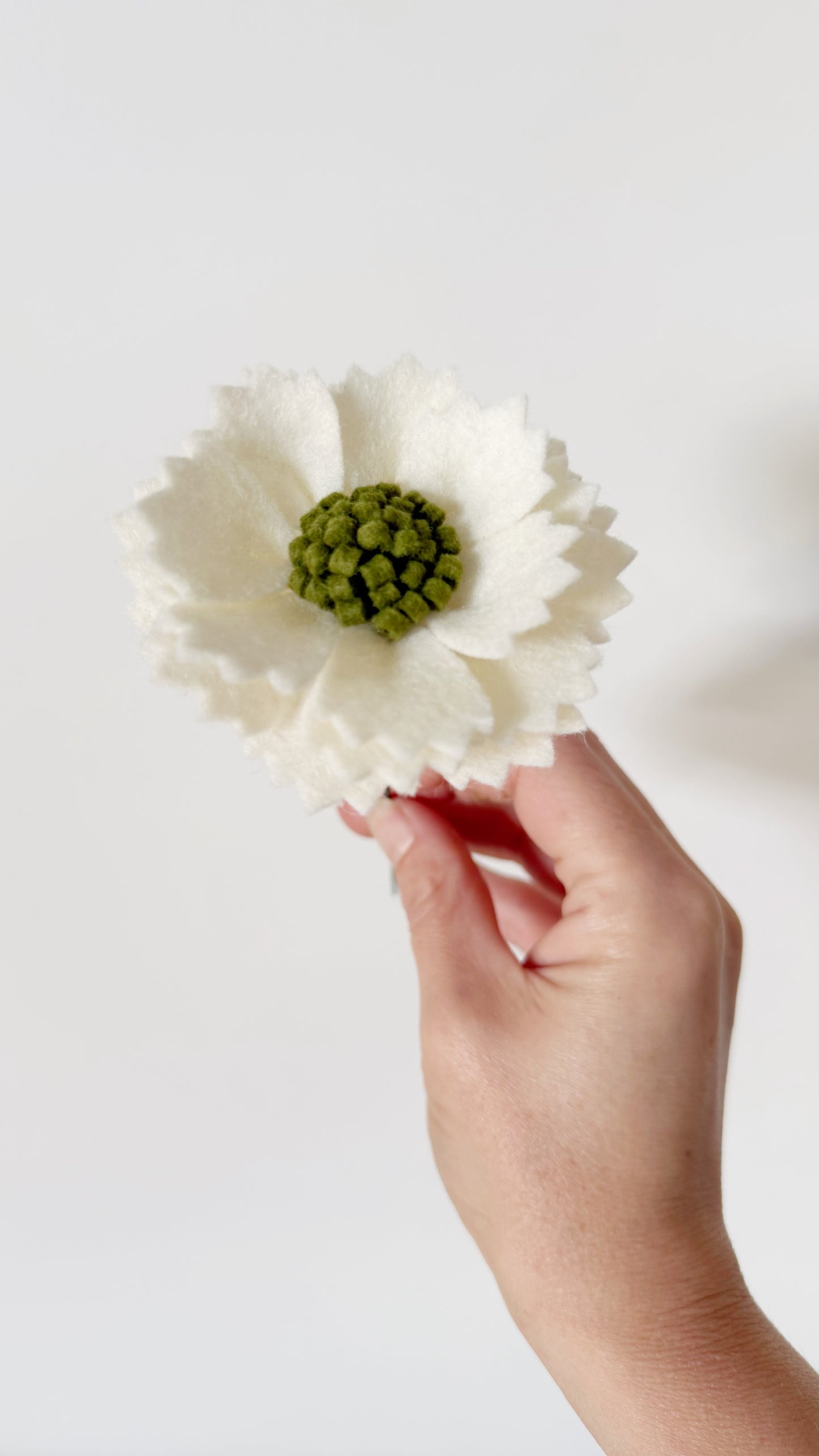 Losse Viltbloem - Scabiosa