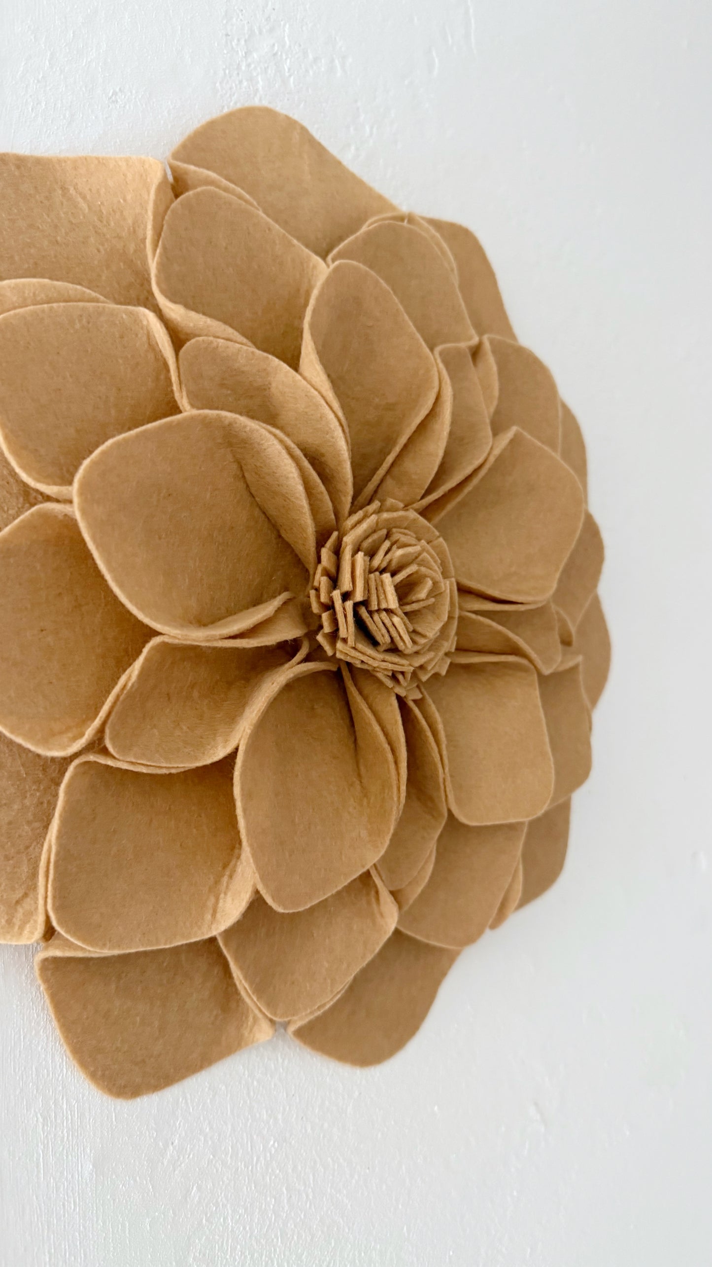 Wandbloem Camel