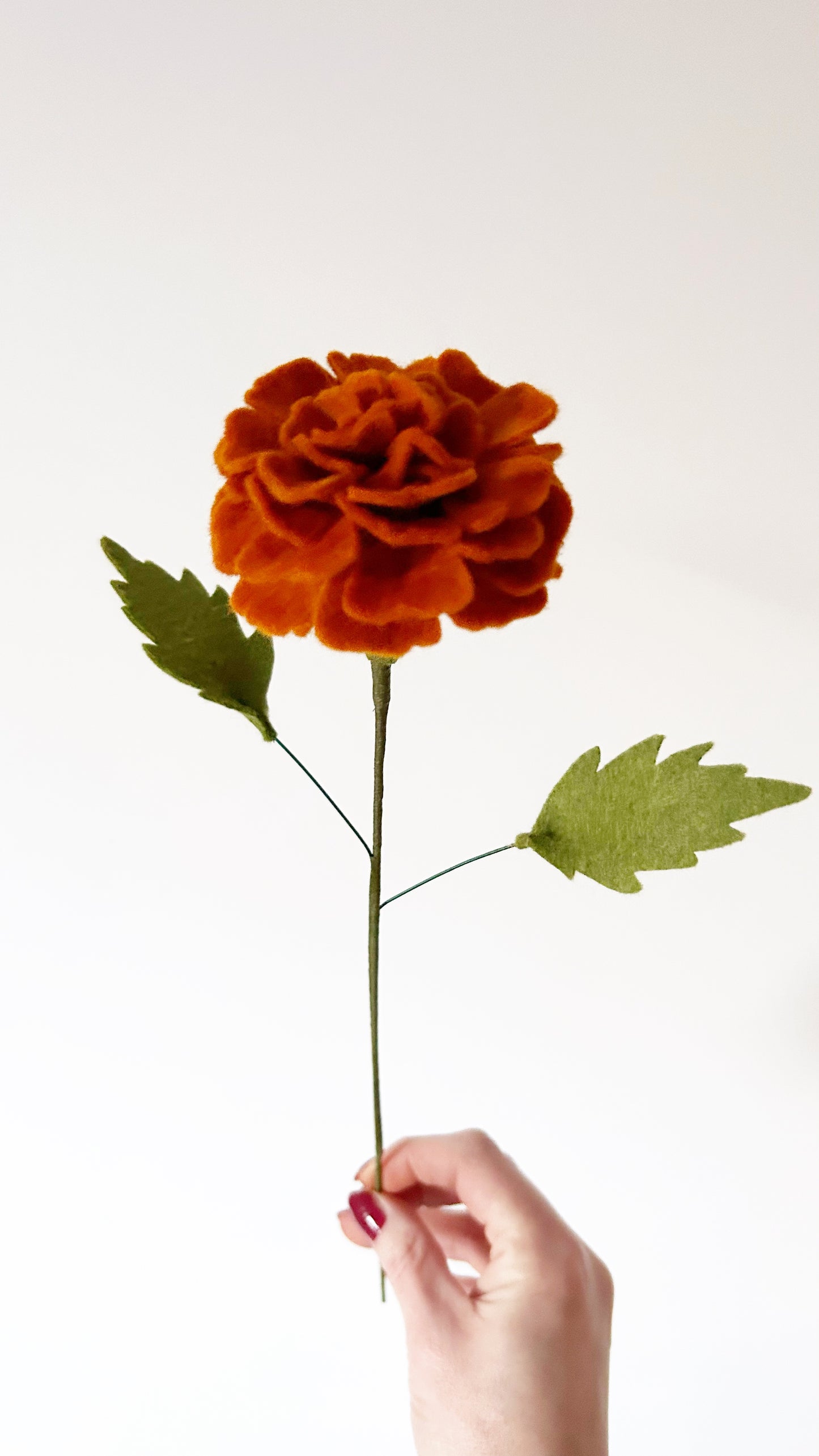 Workshop Goudsbloem 6 maart '25