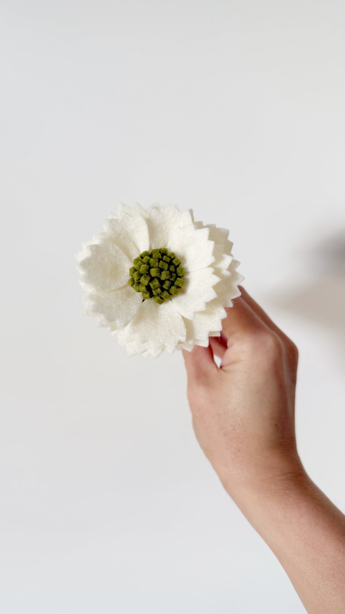 Losse Viltbloem - Scabiosa