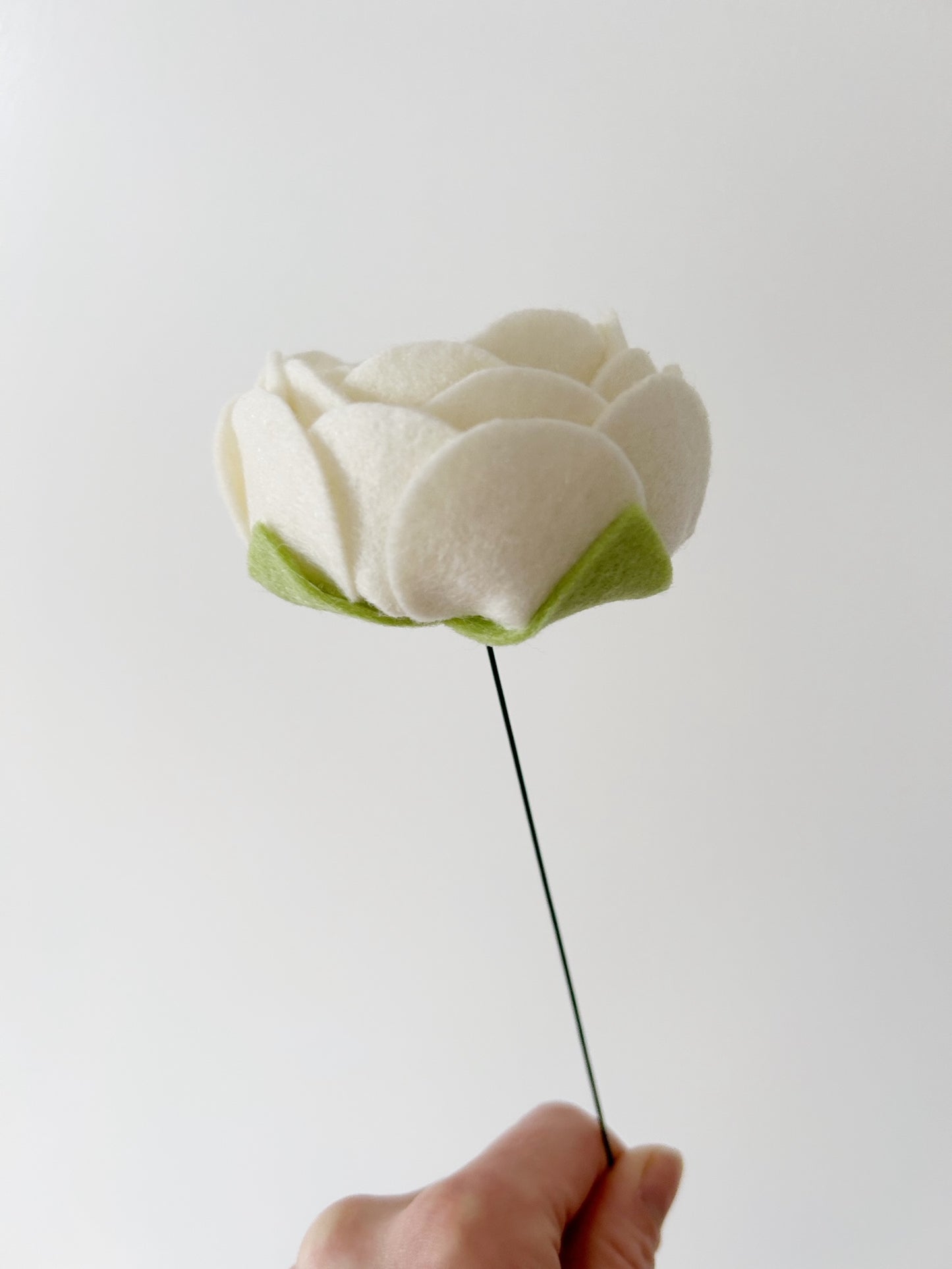 Losse Viltbloem - Ranonkel