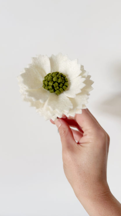 Losse Viltbloem - Scabiosa