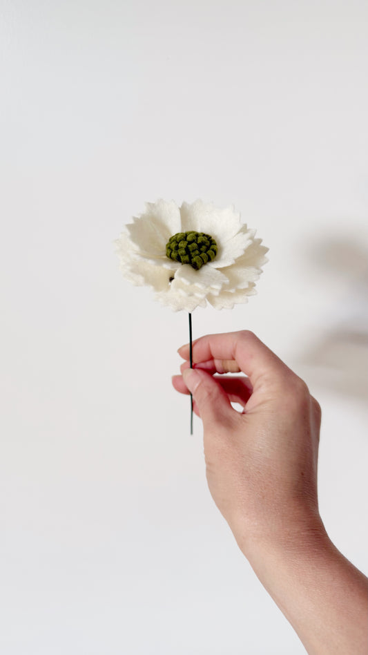 Losse Viltbloem - Scabiosa