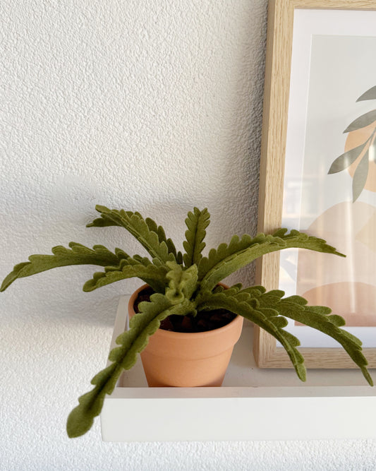 Viltplant Kleine Varen