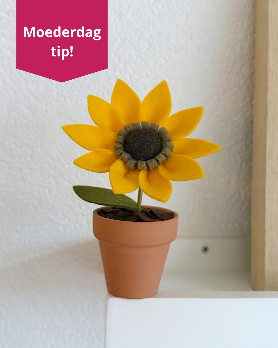 Minipotje Zonnebloem
